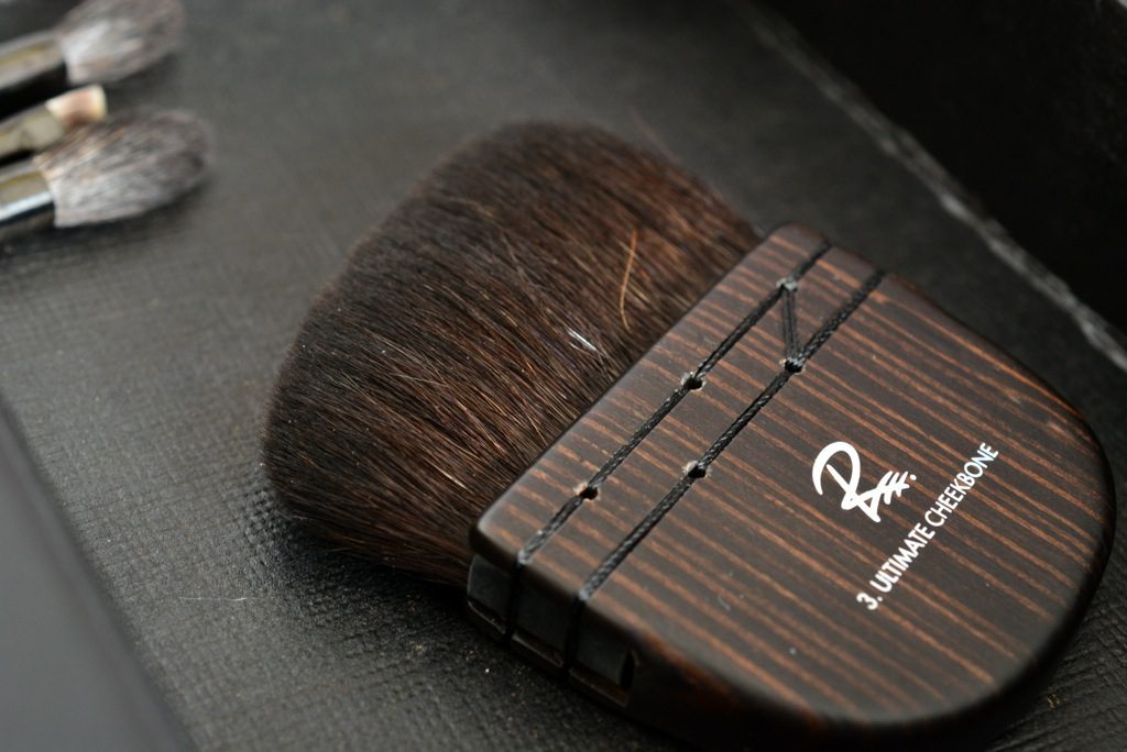 Rae Morris Brushes <br > Magnetic Attraction